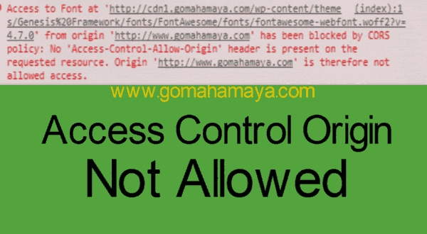 access-to-font-at-origin-has-been-blocked-by-CORS-pOLICY-no-access-control-allow-origin-1